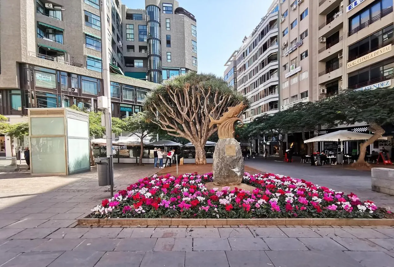 Home2Book Elegant Apartment Santa Cruz Center 0*, Santa Cruz de Tenerife Spain